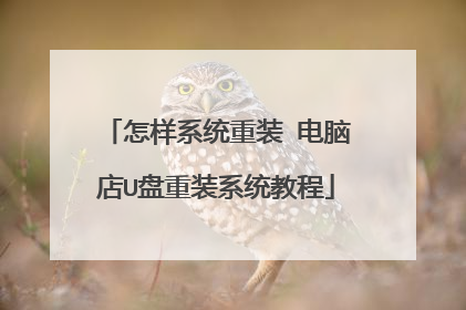 怎样系统重装 电脑店U盘重装系统教程