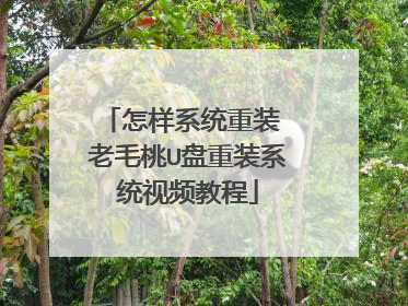 怎样系统重装 老毛桃U盘重装系统视频教程