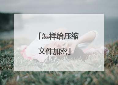 怎样给压缩文件加密