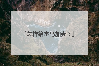怎样给木马加壳？