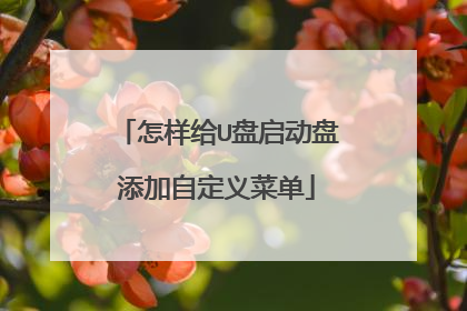怎样给U盘启动盘添加自定义菜单