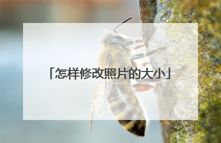 怎样修改照片的大小
