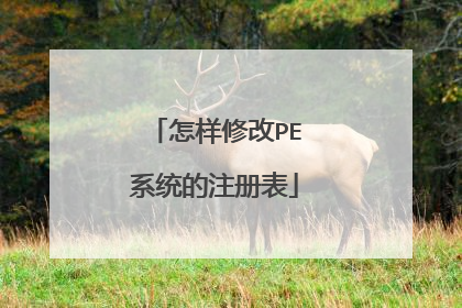 怎样修改PE系统的注册表