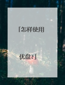 怎样使用优盘?