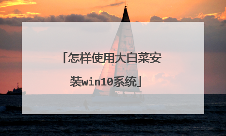 怎样使用大白菜安装win10系统