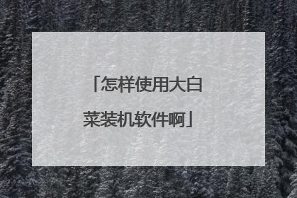 怎样使用大白菜装机软件啊