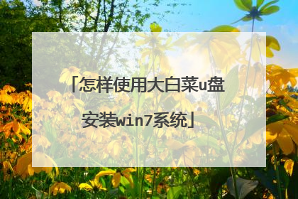 怎样使用大白菜u盘安装win7系统