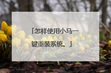 怎样使用小马一键重装系统。