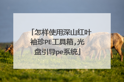 怎样使用深山红叶袖珍PE工具箱,光盘引导pe系统