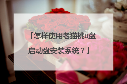 怎样使用老猫桃U盘启动盘安装系统?