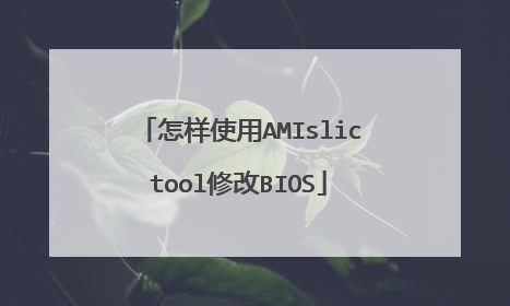 怎样使用AMIslictool修改BIOS
