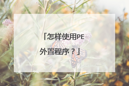 怎样使用PE外置程序？