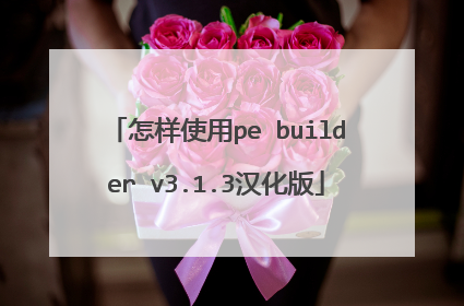 怎样使用pe builder v3.1.3汉化版