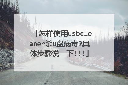 怎样使用usbcleaner杀u盘病毒?具体步骤说一下!!!