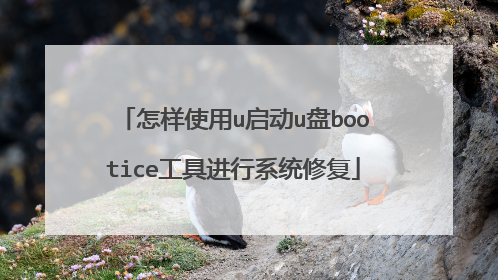 怎样使用u启动u盘bootice工具进行系统修复