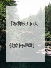 怎样使用u大侠修复硬盘