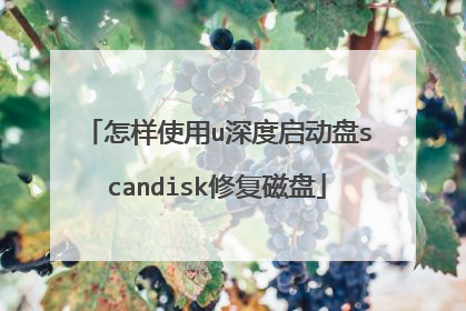 怎样使用u深度启动盘scandisk修复磁盘