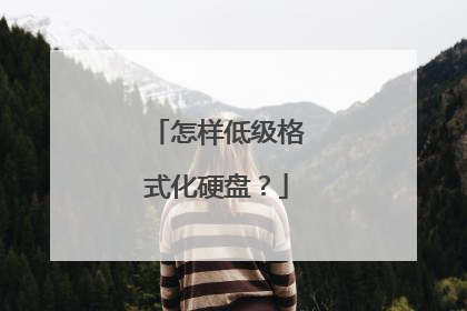 怎样低级格式化硬盘?