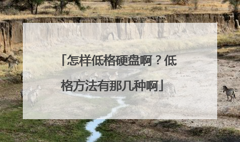 怎样低格硬盘啊?低格方法有那几种啊