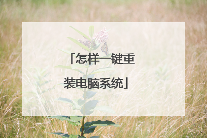 怎样一键重装电脑系统