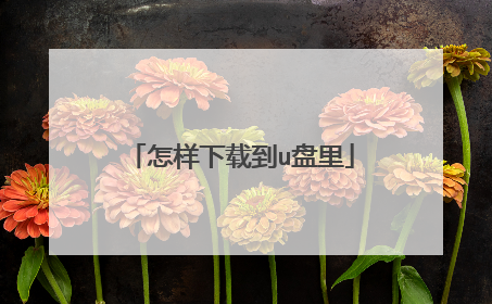 怎样下载到u盘里