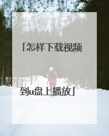 怎样下载视频到u盘上播放