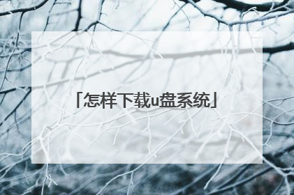 怎样下载u盘系统