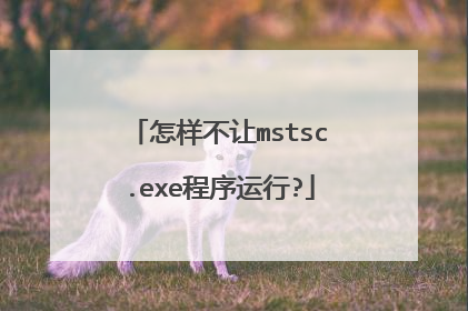 怎样不让mstsc.exe程序运行?