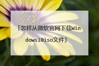 怎样从微软官网下载Windows10iso文件