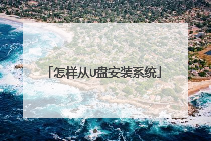 怎样从U盘安装系统