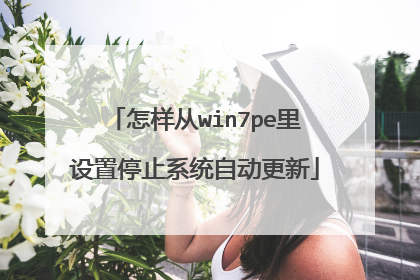 怎样从win7pe里设置停止系统自动更新