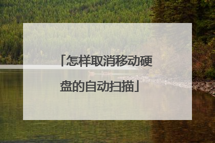 怎样取消移动硬盘的自动扫描