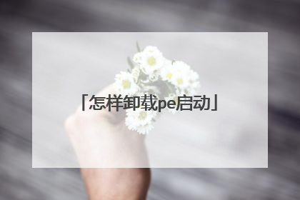 怎样卸载pe启动