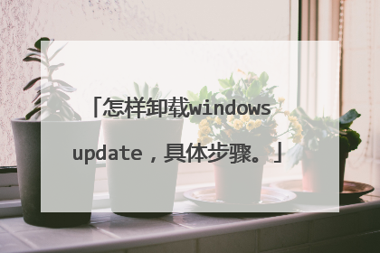怎样卸载windows update,具体步骤。