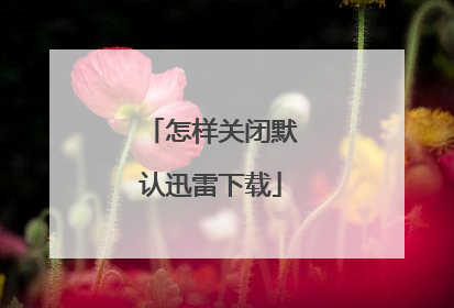 怎样关闭默认迅雷下载