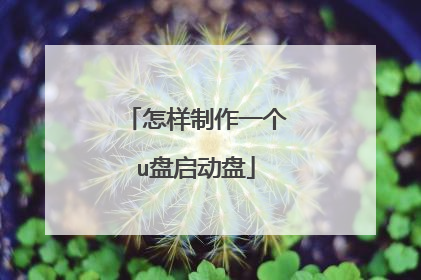 怎样制作一个u盘启动盘