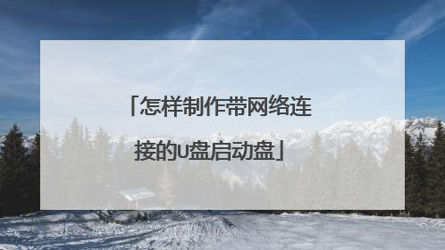 怎样制作带网络连接的U盘启动盘