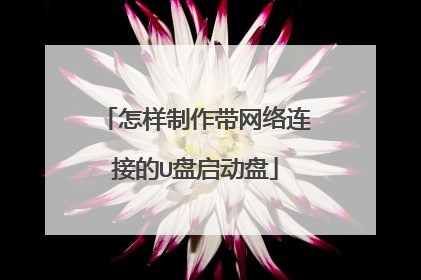 怎样制作带网络连接的U盘启动盘