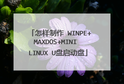 怎样制作 WINPE+MAXDOS+MINI LINUX U盘启动盘