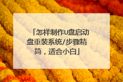 怎样制作U盘启动盘重装系统/步骤精简,适合小白