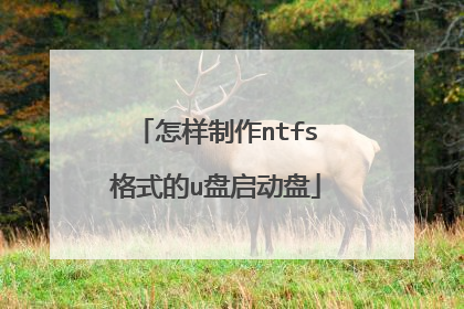 怎样制作ntfs格式的u盘启动盘