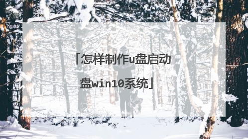 怎样制作u盘启动盘win10系统