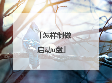 怎样制做启动u盘