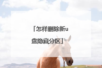 怎样删除新u盘隐藏分区