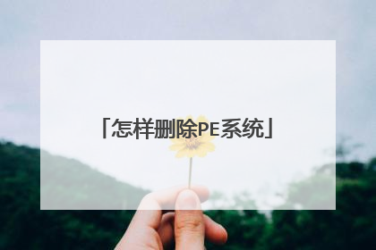 怎样删除PE系统