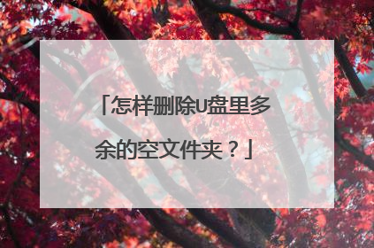 怎样删除U盘里多余的空文件夹?