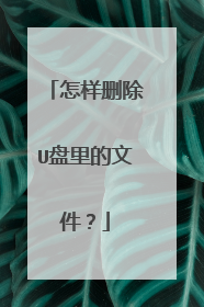 怎样删除U盘里的文件?