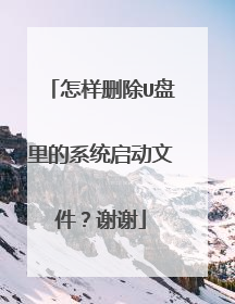 怎样删除U盘里的系统启动文件?谢谢