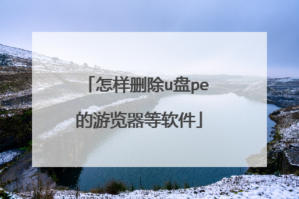 怎样删除u盘pe的游览器等软件