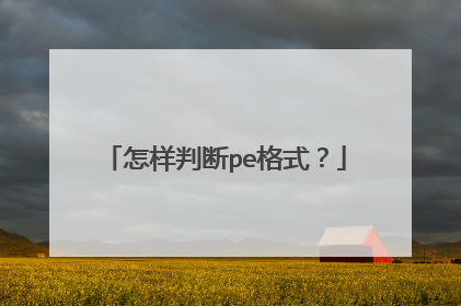 怎样判断pe格式?